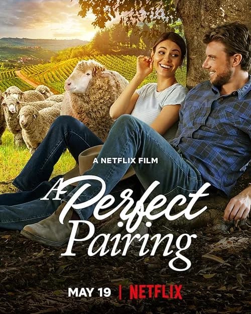 A Perfect Pairing film posteri