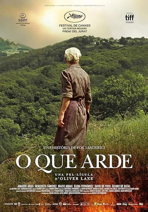 Fire Will Come film posteri