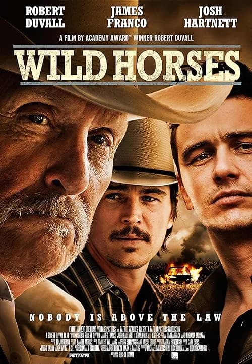 Wild Horses film posteri