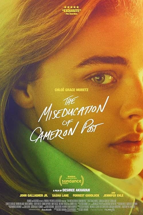 The Miseducation of Cameron Post film posteri